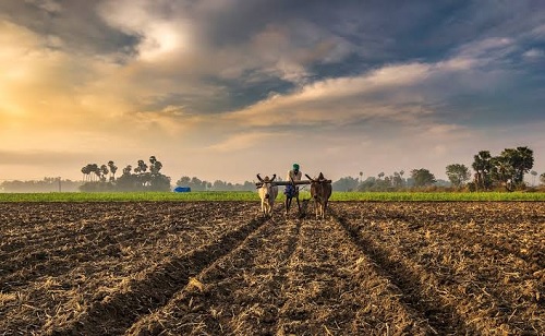 भारतीय शेतक-यांपुढील समस्या व शेती समोरील आव्हाने