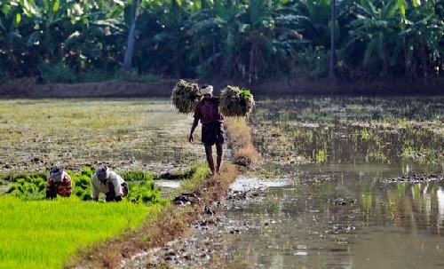 SUSTAINABLE DEVELOPMENT IN INDIAN AGRICULTURE