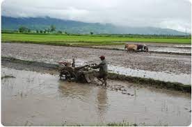 ROLE OF MOBILE PHONES IN THE DEVELOPMENT OF  RURAL AGRICULTURE SECTOR