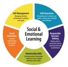 ROLE OF SOCIAL INTELLIGENCE IN STUDENT’S EDUCATIONAL DEVELOPMENT