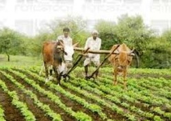 ‘‘राष्ट्रीय कृषि विकास में ग्रामीण बैंकों की भूमिका’’