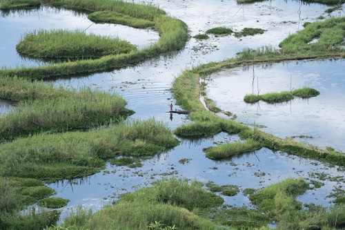 WETLANDS IN TODAY'S PERSPECTIVE: A CASE STUDY OF WETLANDS  OF MURSHIDABAD DISTRICT. WEST BENGAL