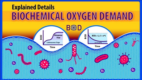 “STUDY OF BIOLOGICAL OXYGEN DEMAND AT THE BISAIDHA  DAM DISTRICT - SIDHI (M.P.)”