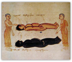 THE CONCEPT OF MARANṇASSATI (MINDFULNESS OF DEATH)