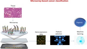 GENOME SELECTION AND CLASSIFICATION OF MICROARRAY EXPRESSION  DATA FOR CANCER DETECTION