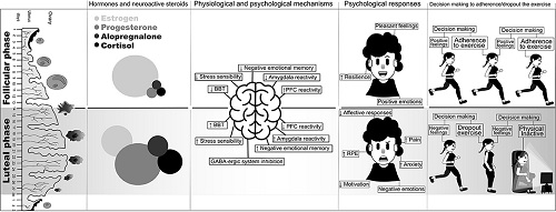 THE EFFECT OF MENSTRUAL CYCLE PHASES ON SIT-UPS:  A COMPARATIVE STUDY
