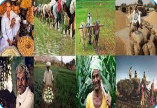 A STUDY OF AGRICULTURAL FINANCE WITH SPECIAL REFERENCE TO SELECTED FARMERS IN MAN TALUKA (SATARA)