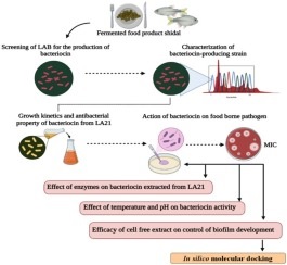BACTERIAL PRODUCTION OF BACTERIOCIN: A HEALTH VALUABLE  GREEN APPROACH