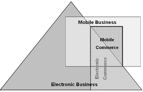 M COMMERCE: THE USERS PERSPECTIVE