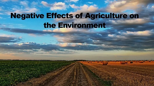 NEGATIVE EFFECT OF AGRICULTURE DEVELOPMENT