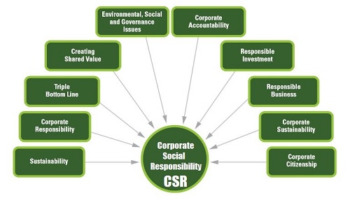 A STUDY OF THE RELATIONSHIP OF CSR WITH THE ENVIRONMENT