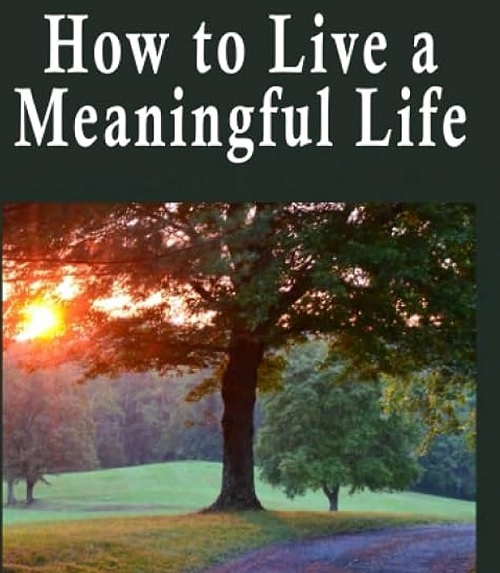 LIVE A MEANINGFUL LIFE : OVERVIEW OF EDITED WORK