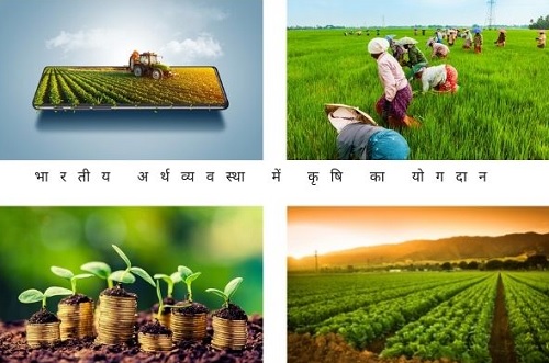 भारतीय अर्थव्यवस्था में कृषि आय का एक आर्थिक अध्ययन