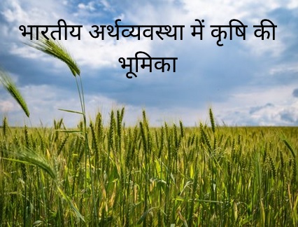 ‘‘ कृषि आय का भारतीय अर्थव्यस्था में तुलनात्मक अध्ययन ’’