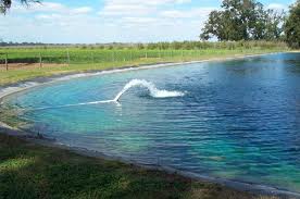 WATER QUALITY ASSESSMENT OF PRATAP SAGAR POND, CHHATARPUR (M.P)