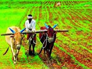 एकविसाव्या शतकातील भारतीय शेतीक्षेत्रापुढील आव्हाने