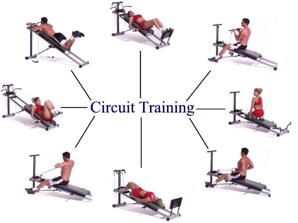 EFFECT OF CIRCUIT TRAINING ON SPEED, POWER AND  CARDIOVASCULAR ENDURANCE AMONG SECONDARY  SCHOOL HOCKEY PLAYERS 