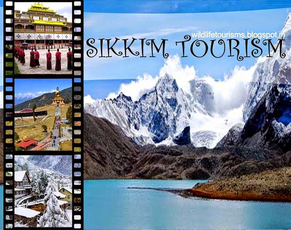 TOURISM IN SIKKIM: A SWOT ANALYSIS