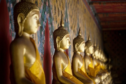 BUDDHISM AND SCIENCE: TWO PATHS BUT SAME GOAL