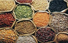 ROLE OF CHEMICAL INPUTS ON FOOD GRAIN PRODUCTION IN INDIA