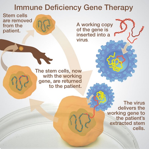GENES AND GENE THERAPY