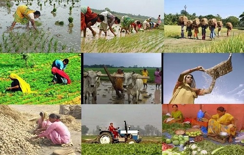 A STUDY OF THE USE OF ICT AMONG RURAL FARMERS
