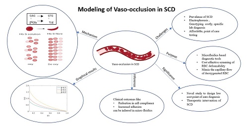 A COMPARTMENTAL MATHEMATICAL MODEL OF SICKLE CELL DISEASE:  TRANSMISSION DYNAMICS, EQUILIBRIUM ANALYSIS, AND INTERVENTION  STRATEGIES FOR RARE GENETIC DISORDERS