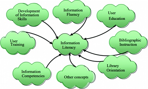 RE-EVALUATING THE RELEVANCE OF EXISTING INFORMATION LITERACY  MODELS IN THE CONTEMPORARY INFORMATION LANDSCAPE