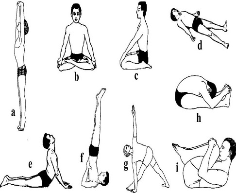 EFFECT OF SELECTED YOGIC ASANAS ON RANGE OF MOVEMENT  AT SELECTED JOINTS OF COLLEGE MALE STUDENT