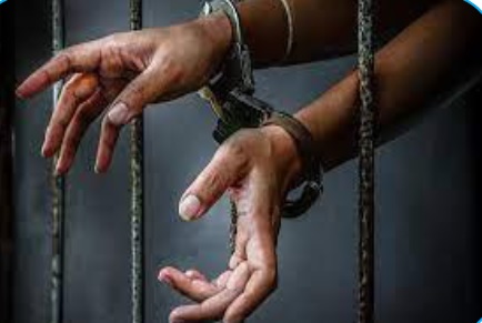 EXPLORING THE PSYCHO-SOCIAL CHALLENGES FACED  BY WOMEN OFFENDERS: A COMPREHENSIVE STUDY