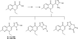 DEVELOPMENT OF NOVEL NALIDIXIC ACID-BASED COMPOUNDS:  SYNTHESIS AND BIOLOGICAL EVALUATION