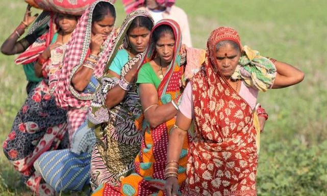 बिलासपुर ज़िले में जनजातीय महिलाओं की सामाजिक स्थिति और  परिवर्तनशील भूमिका का अध्ययन