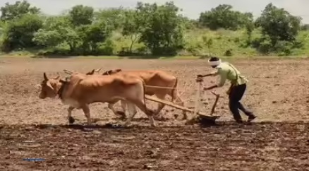 यवतमाळ जिल्ह्यातील शेतकऱ्यांच्या आर्थिक स्थितीचा अभ्यास