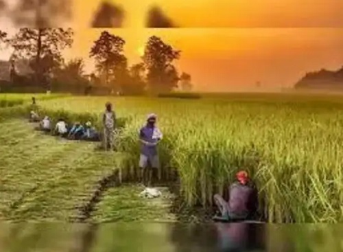 यवतमाळ जिल्ह्यातील शेतमजुरांकरिता शासनाद्वारे राबविल्या जात  असलेल्या योजनांचा अभ्यास