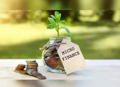 PROFITABILITY AND SUSTAINABILITY OF MICROFINANCE COMPANIES:  EVIDENCE FROM SOUTH INDIA