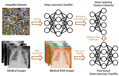 DEEP LEARNING APPROACHES FOR MEDICAL IMAGE CLASSIFICATION
