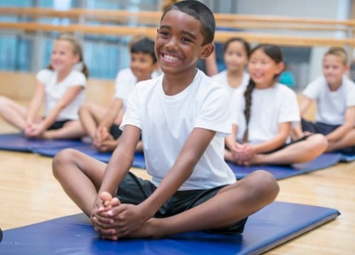 EFFECTIVENESS OF YOGA AND FITNESS TRAINING PROGRAMS IN IMPROVING FLEXIBILITY, ENDURANCE, AND STRESS MANAGEMENT AMONG STUDENTS