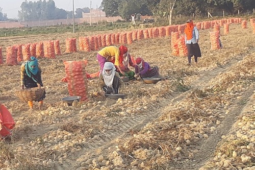 भारतीय ग्रामीण अर्थव्यवस्था एवं रोजगार: समस्या एवं समाधान