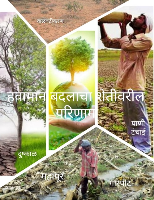 हवामान बदलाचा सोलापूर जिल्ह्यातील कृषी उत्पादनावर होणारा परिणाम : एक अभ्यास