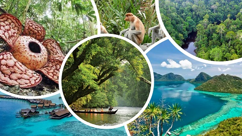 ECOTOURISM AS A TOOL FOR CONSERVATION AND  SUSTAINABLE DEVELOPMENT