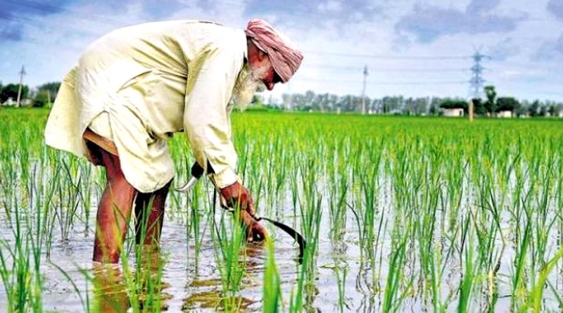 ‘‘मध्यप्रदेश में न्यूनतम समर्थन मूल्य व्यवस्था की प्रभावशीलता एवं कृषकों की आर्थिक स्थिति का मूल्यांकन‘‘