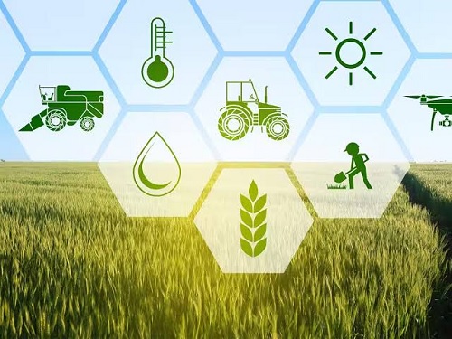 AGRICULTURAL DEVELOPMENT AND RURAL ECONOMIC GROWTH IN INDIA